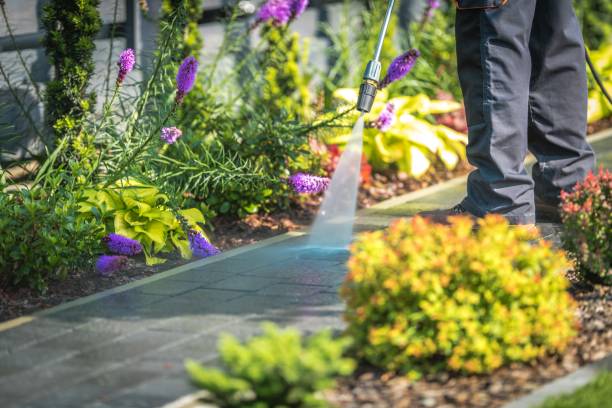 Best Parking Lot and Garage Cleaning  in Point Pleasant, NJ