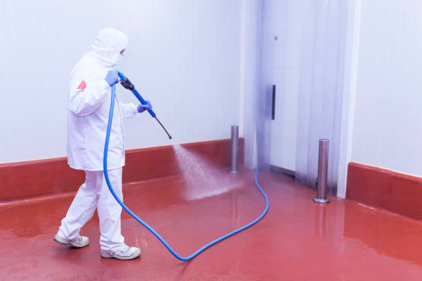 Best House Exterior Washing  in Point Pleasant, NJ